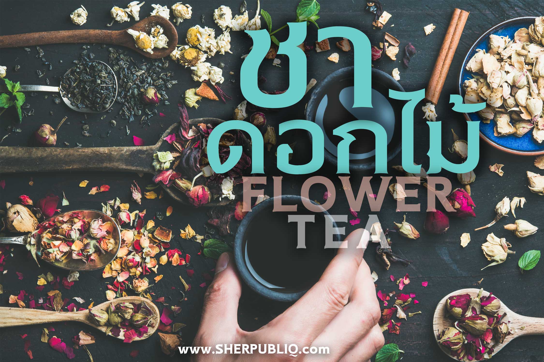 ชาดอกไม้ วัฒนธรรมการดื่มความหอม กับองค์ความรู้สรรพคุณจากรสยาของไทย